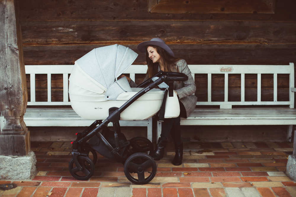 MILU KIDS ΣΥΣΤΗΜΑ ΜΕΤΑΦΟΡΑΣ STARLET EKO 2 IN 1 STORM