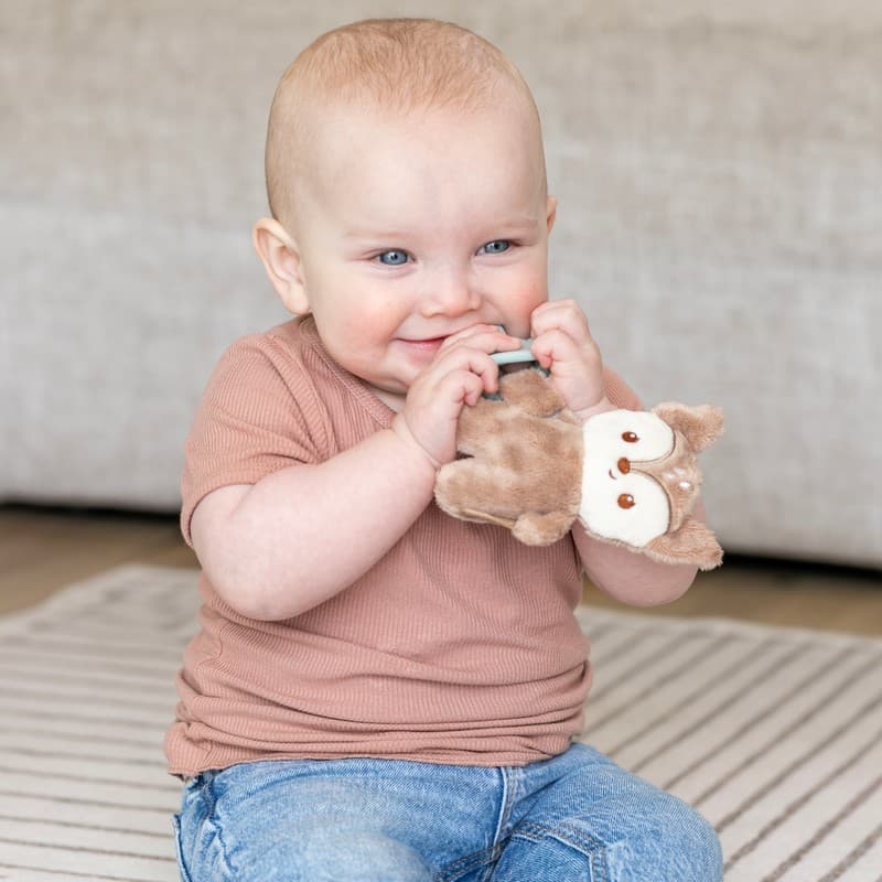 Snuggle & sooth Paci pal - Για αγκαλιές και γλυκιά παρηγοριά   πιπίλα και λούτρινο ελαφάκι .