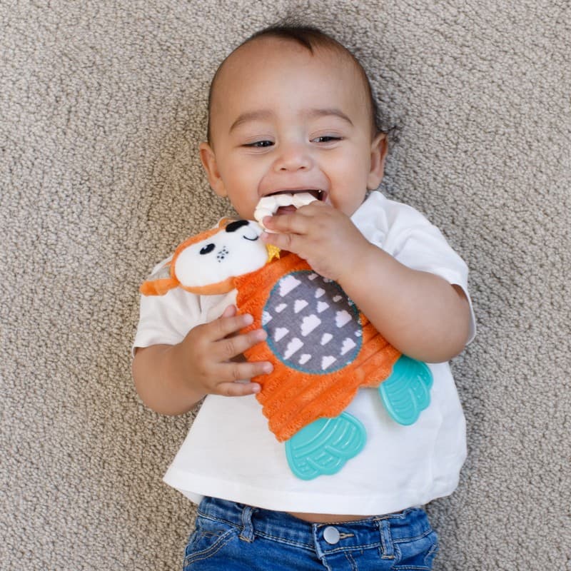Go Gaga Cuddly Teether ( fox New )