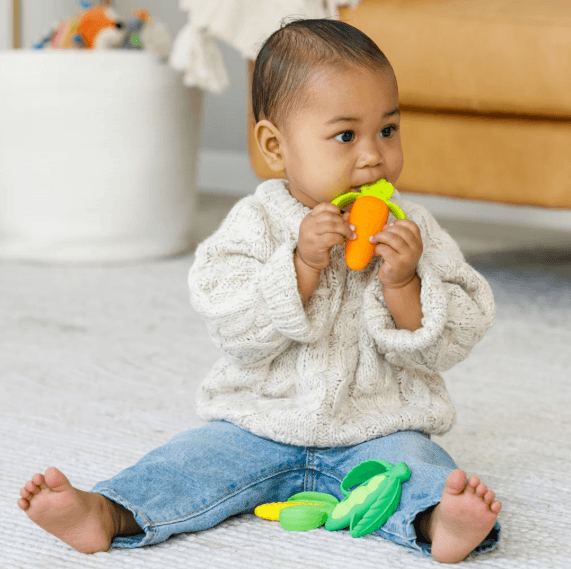 Farmers Market Teether Gift Set (0m+)