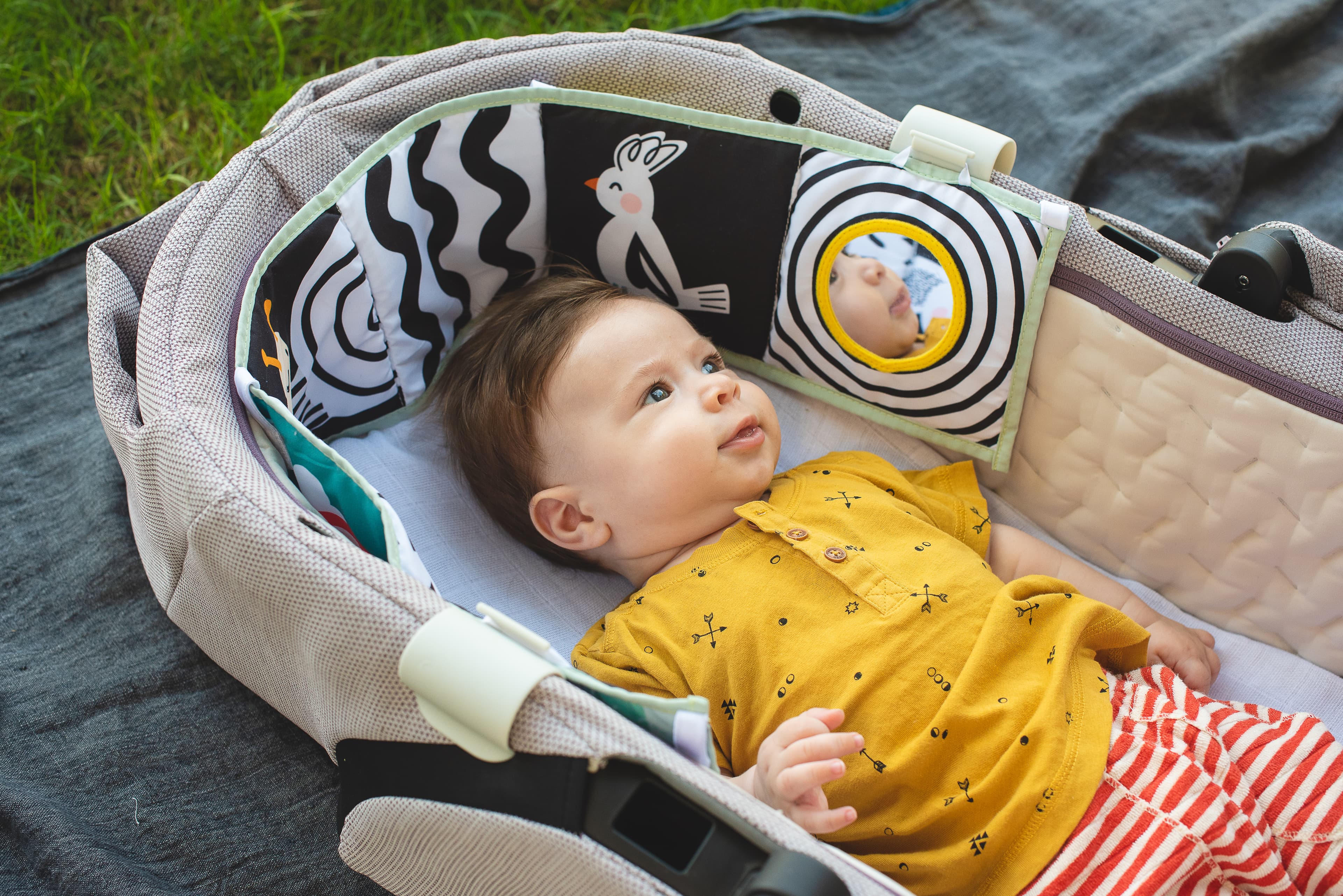 KOALA CLIP ON PRAM BOOK
