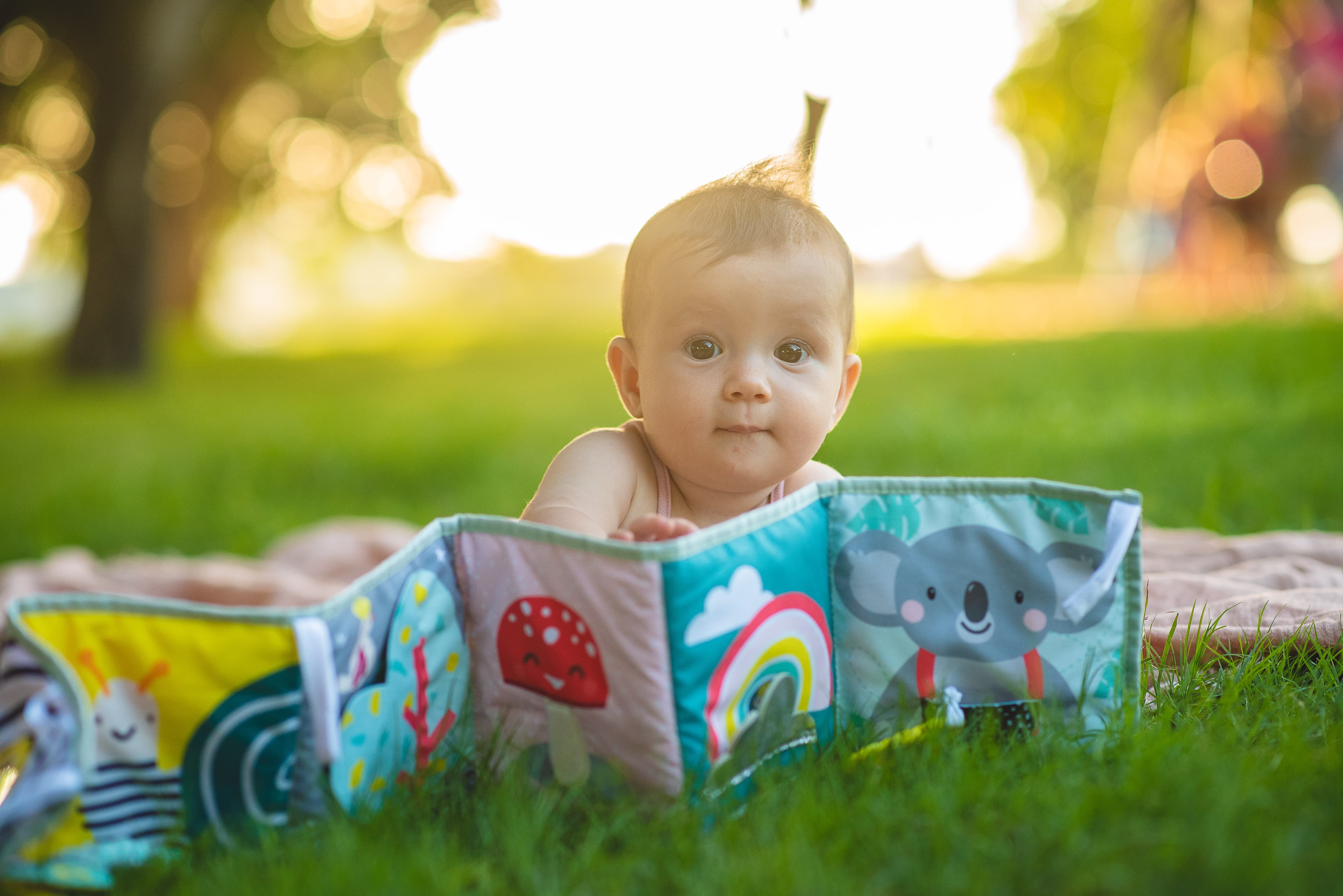 KOALA CLIP ON PRAM BOOK