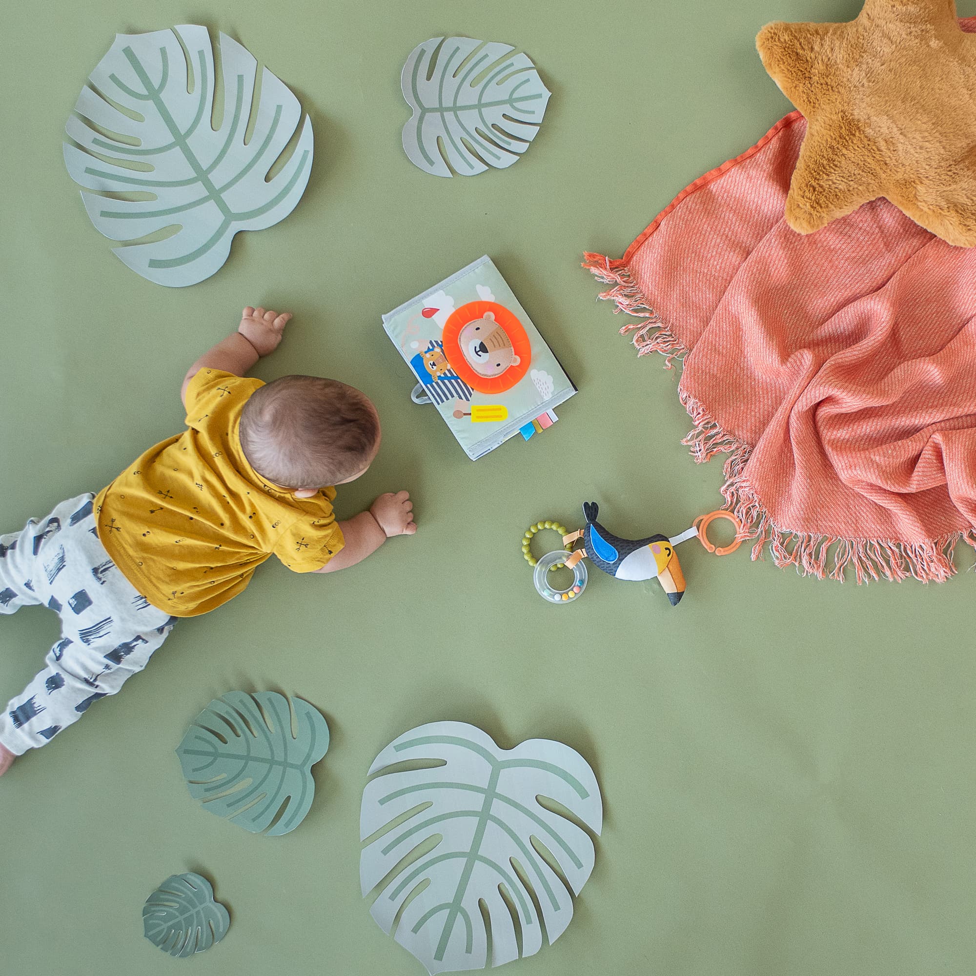 SAVANAH TUMMY-TIME BOOK