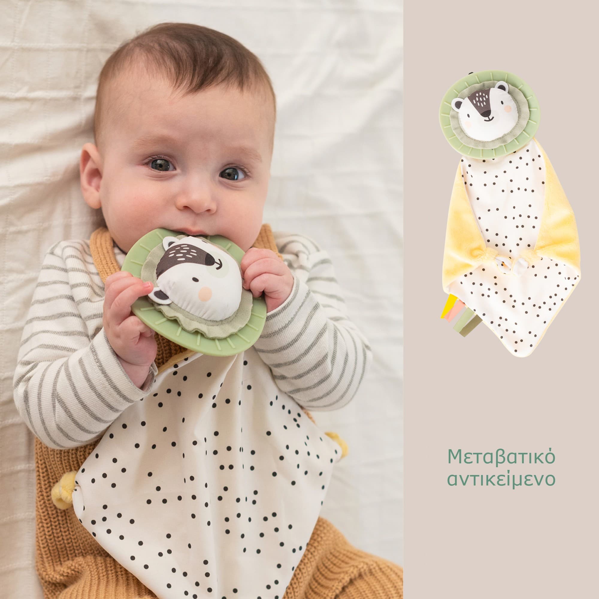 NEWBORN DEVELOP & PLAY KIT