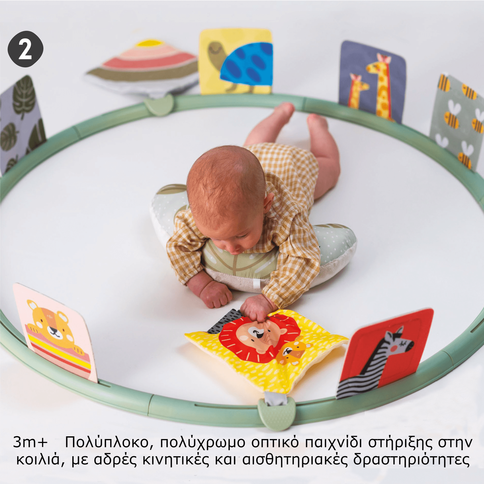 TUMMY TIME TRAINER