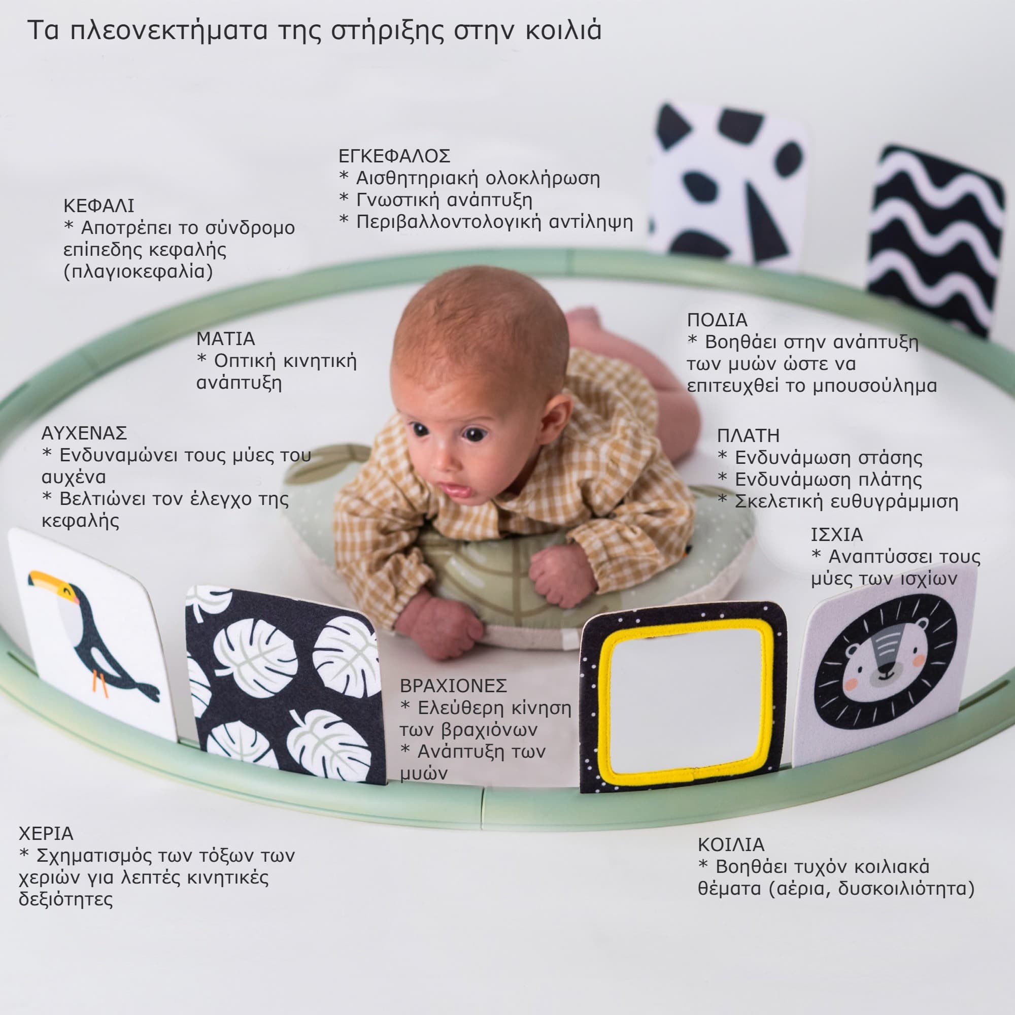 TUMMY TIME TRAINER