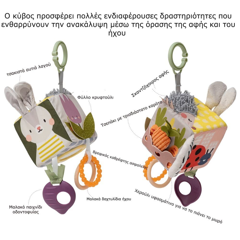 URBAN GARDEN ACTIVITY CUBE