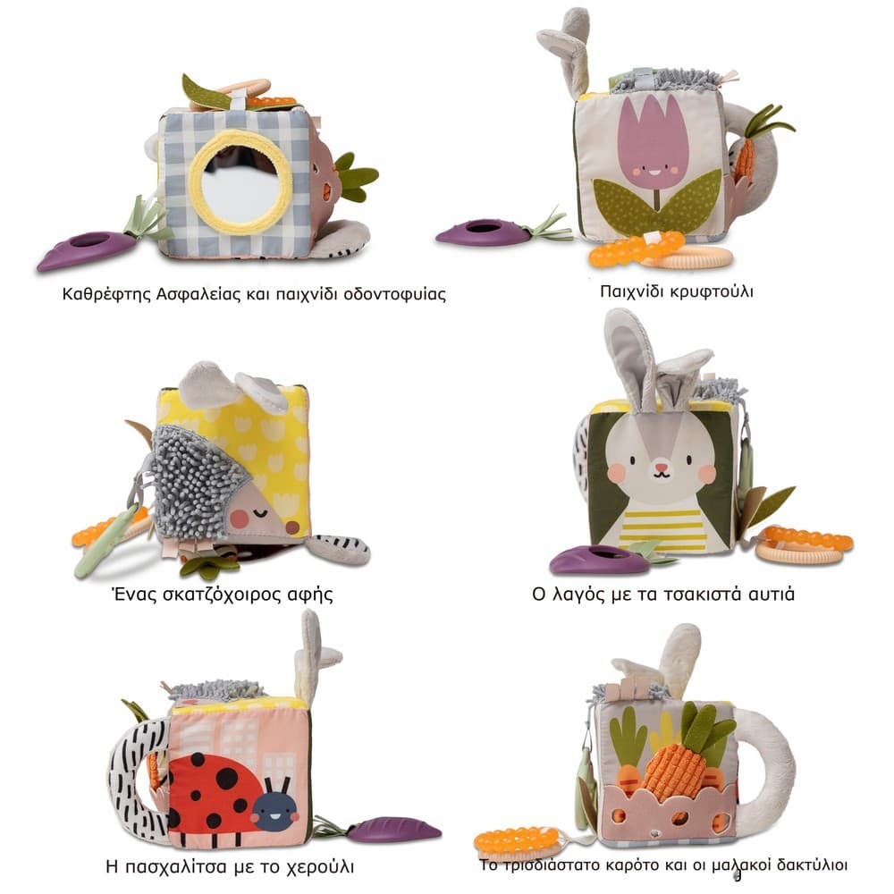 URBAN GARDEN ACTIVITY CUBE