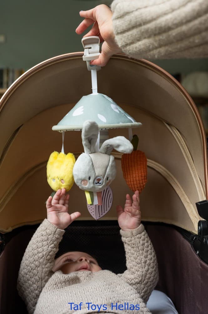 GARDEN PRAM MOBILE