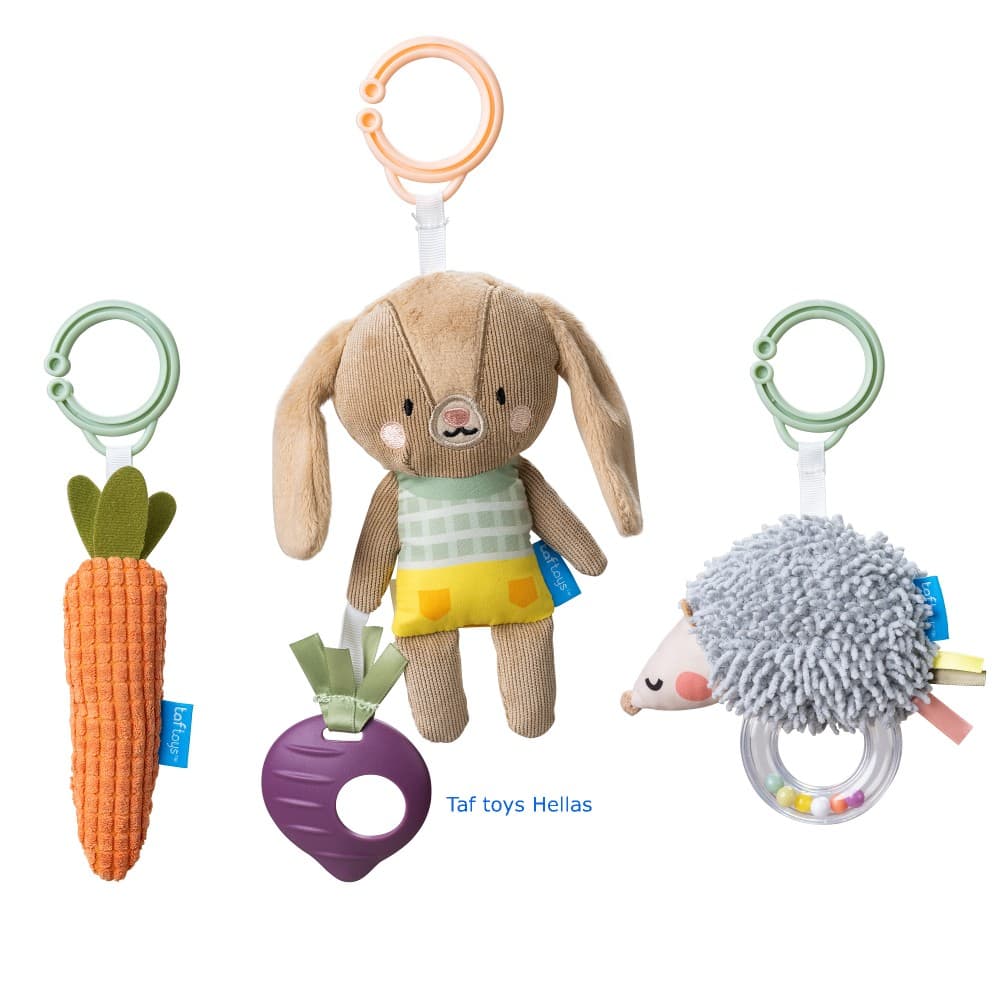 ACTIVITY TOYS KIT