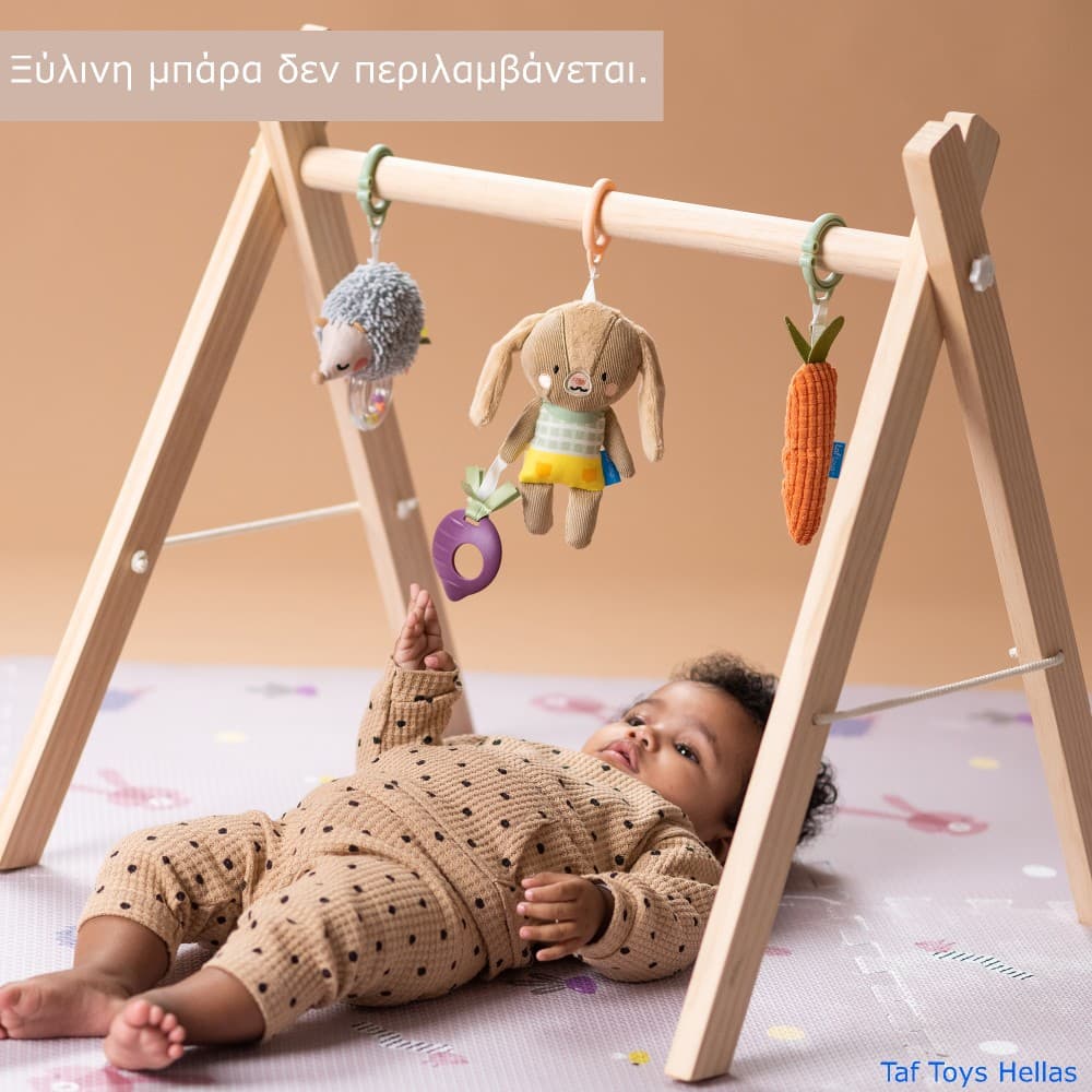 ACTIVITY TOYS KIT