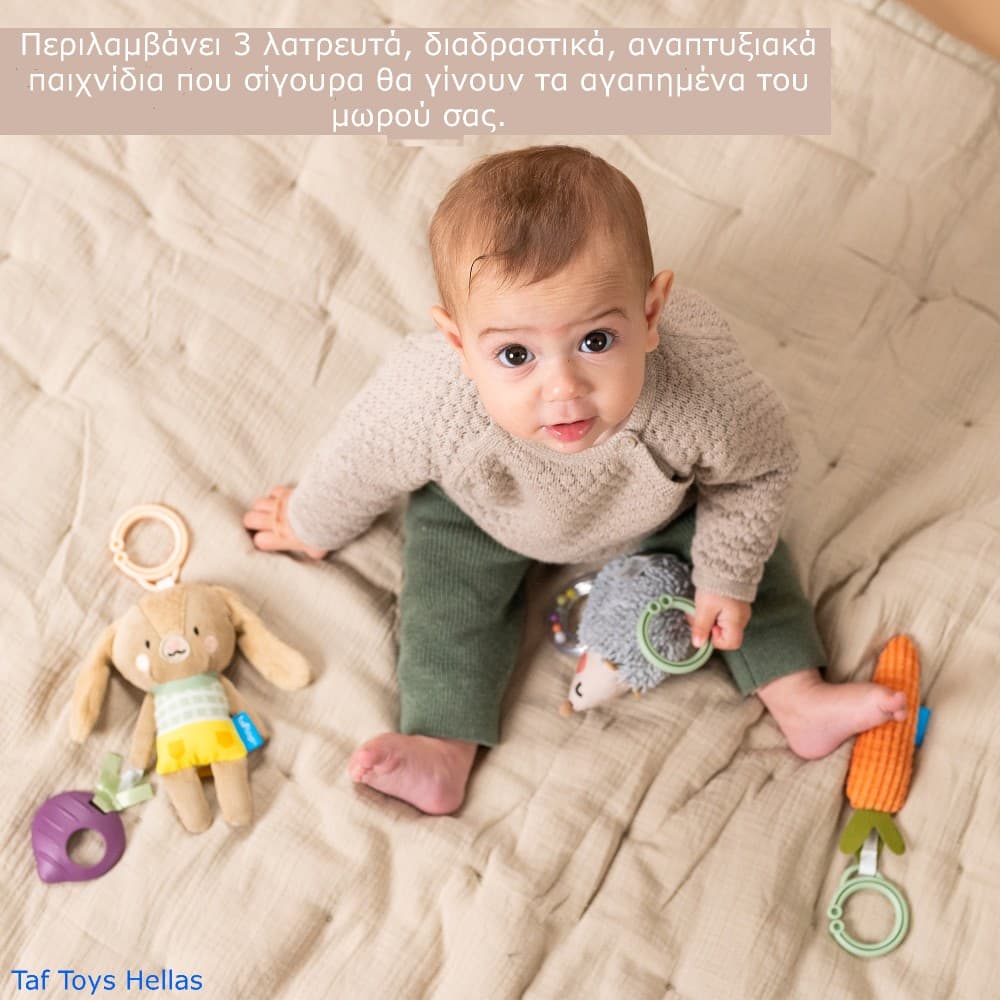 ACTIVITY TOYS KIT