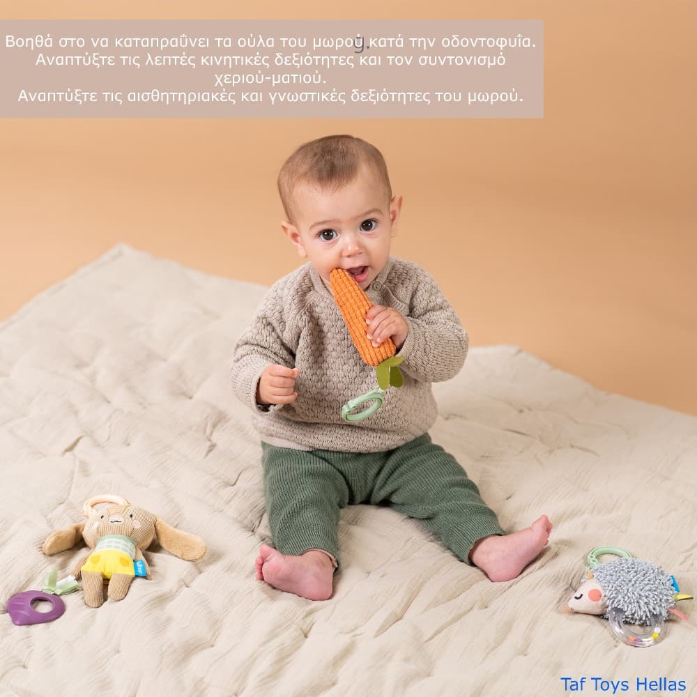 ACTIVITY TOYS KIT
