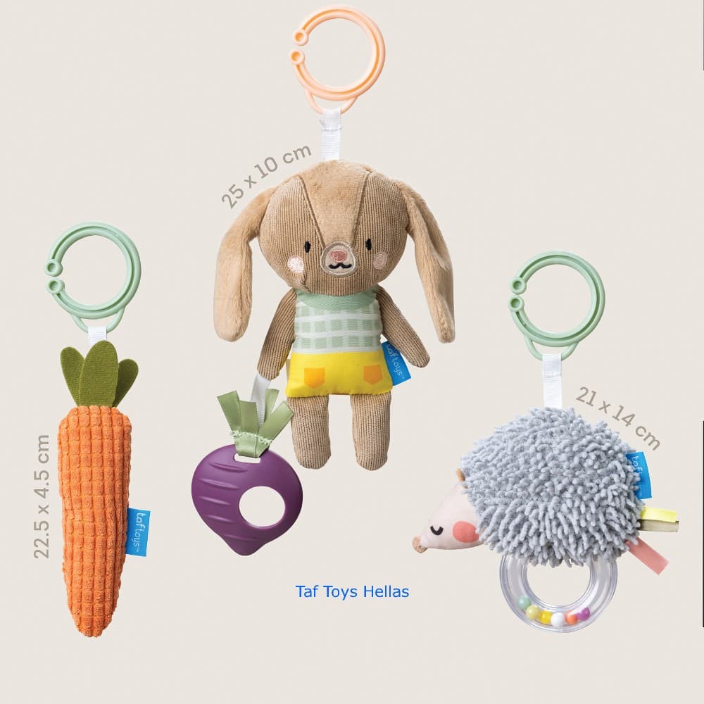 ACTIVITY TOYS KIT