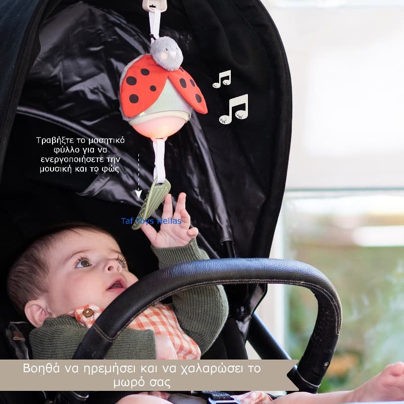 LADYBUG MUSICAL TOY