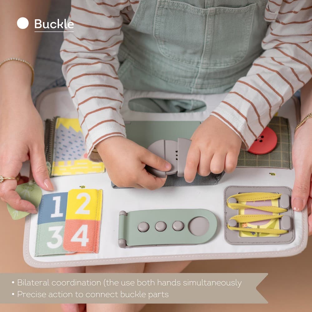 ACTIVITY BUCKLES BOARD