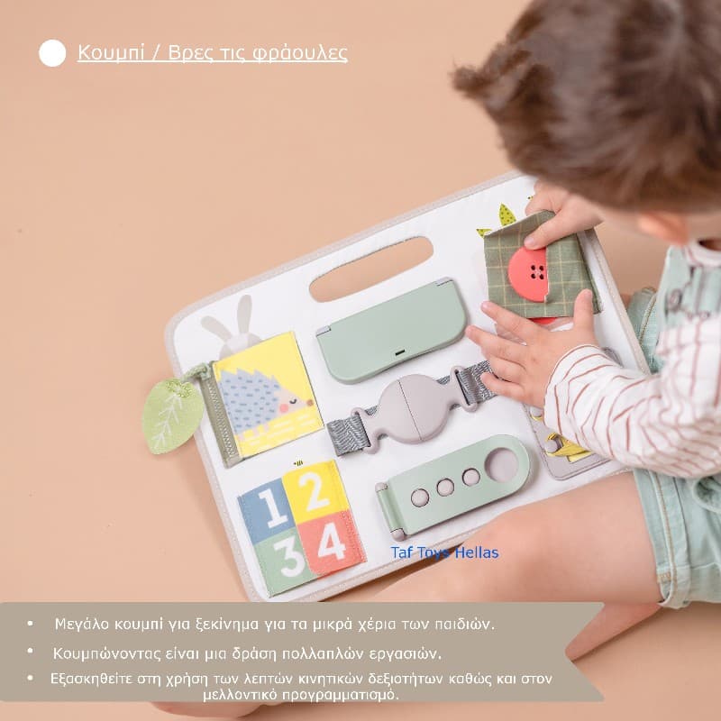 ACTIVITY BUCKLES BOARD