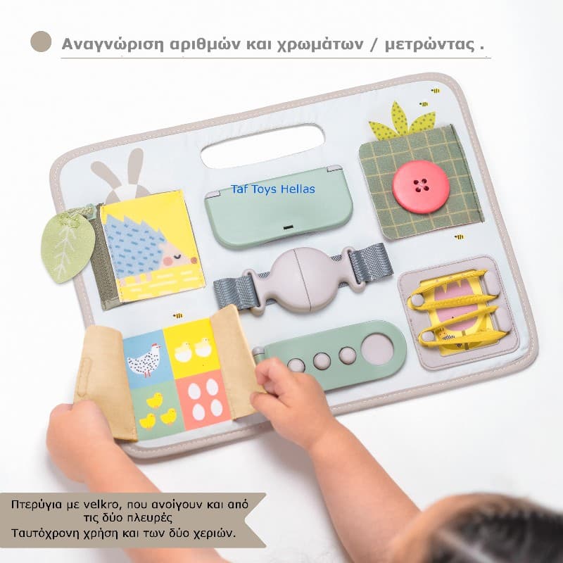 ACTIVITY BUCKLES BOARD
