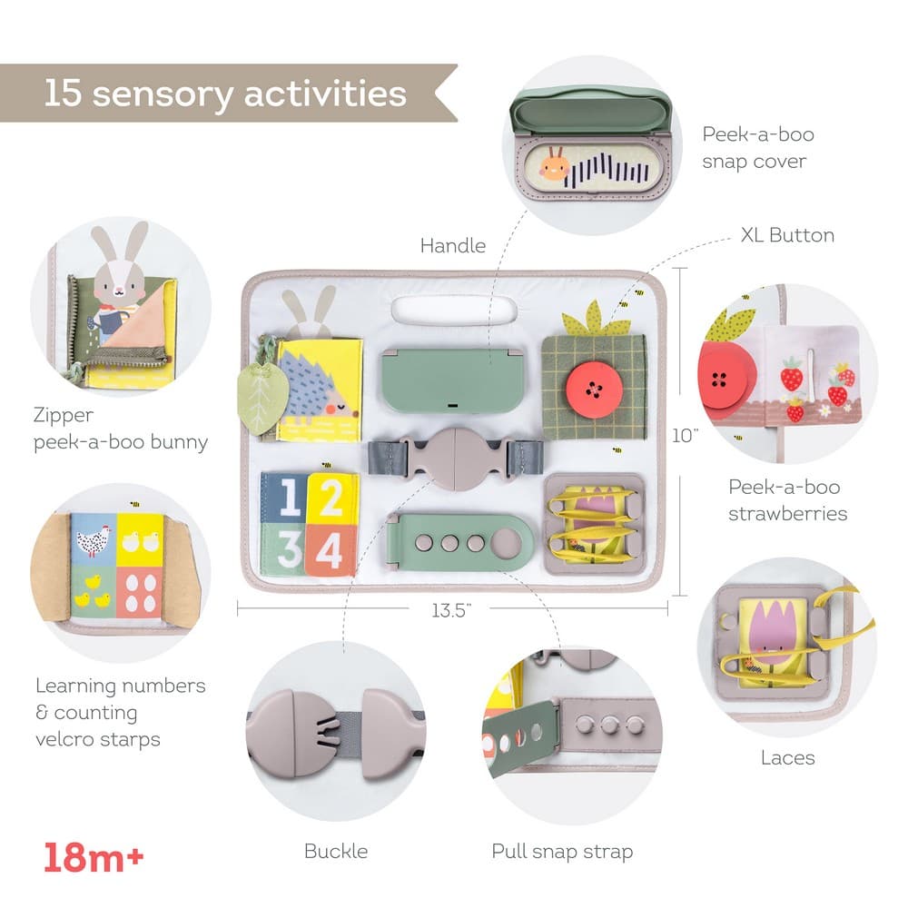 ACTIVITY BUCKLES BOARD