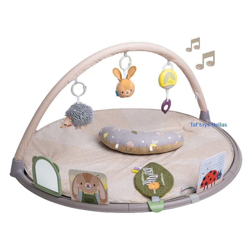 TUMMY-TIME ACTIVITY GYM