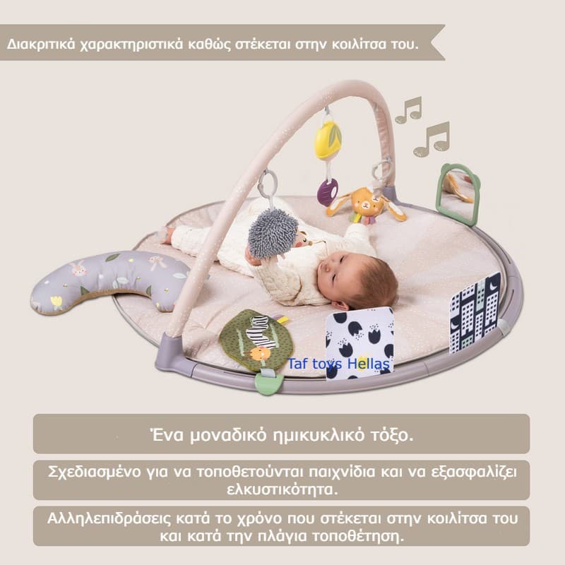TUMMY-TIME ACTIVITY GYM