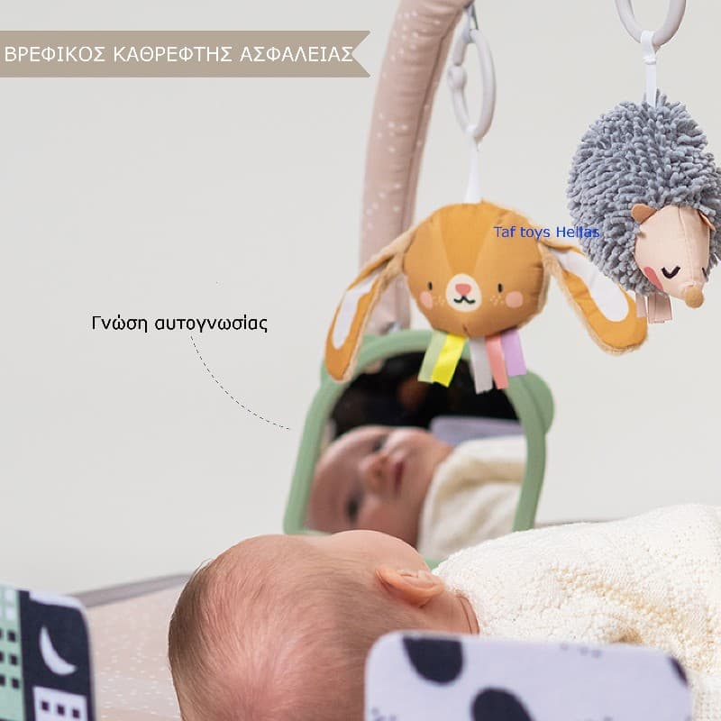 TUMMY-TIME ACTIVITY GYM