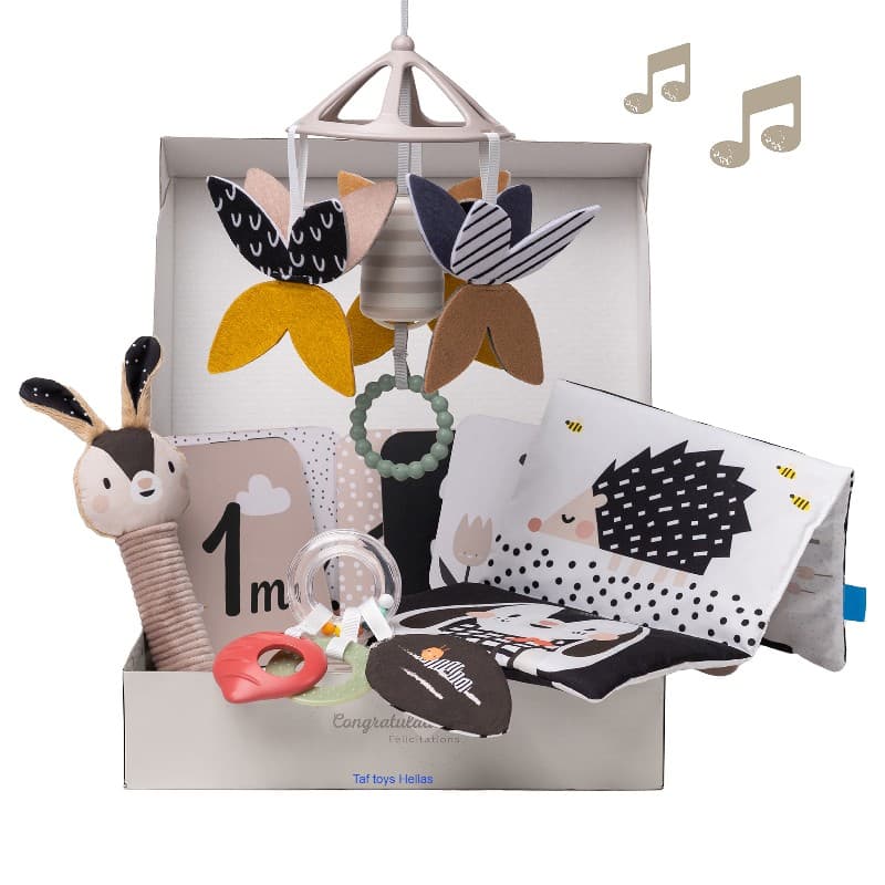 NEWBORN BLACK & WHITE KIT
