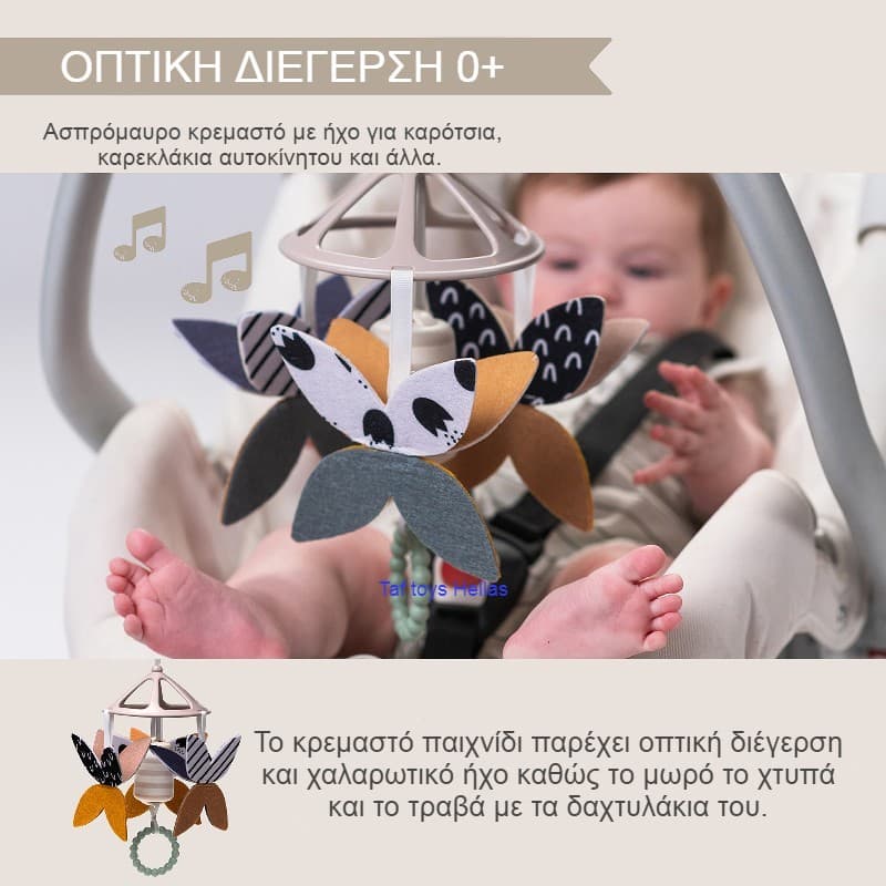 NEWBORN BLACK & WHITE KIT