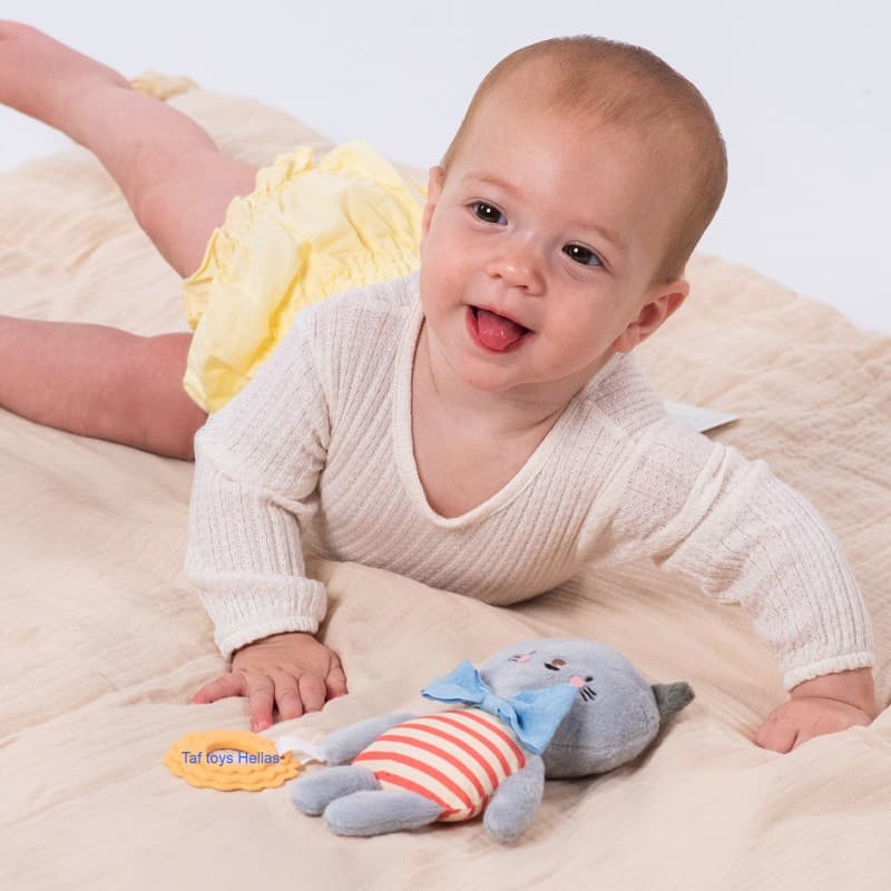 CLARA ACTIVITY TOY