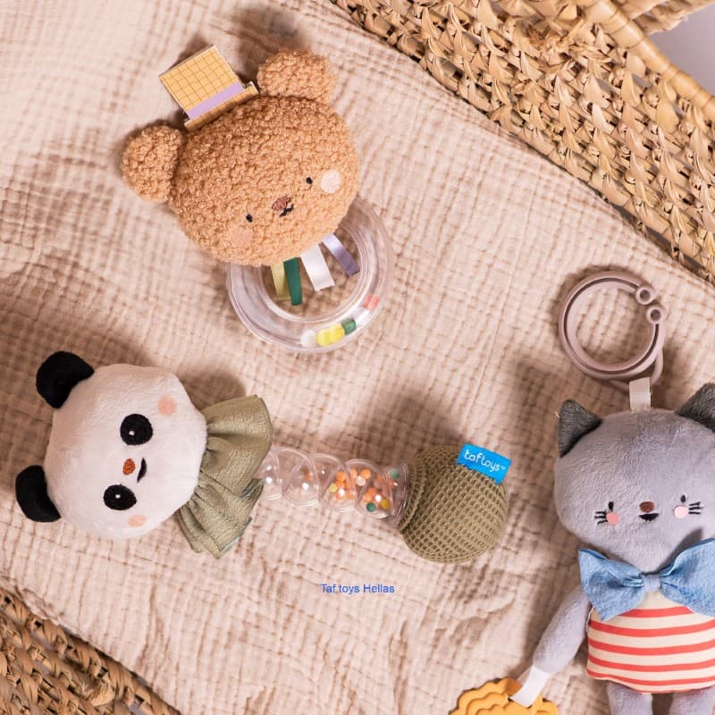 CLARA ACTIVITY TOY