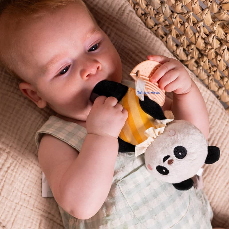PAMELA ACTIVITY TOY