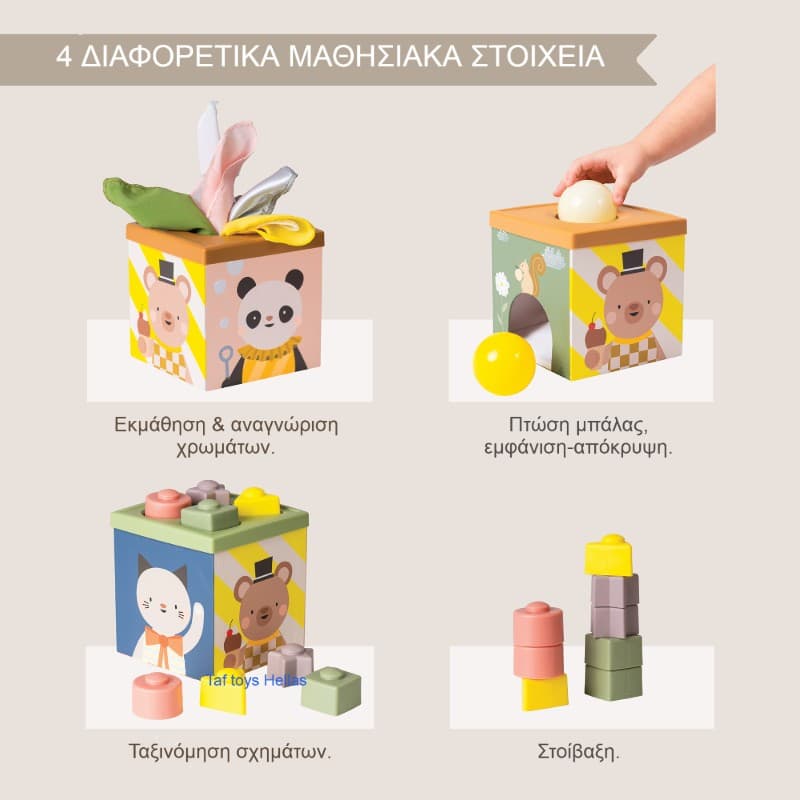 PLAY & DISCOVER CUBE
