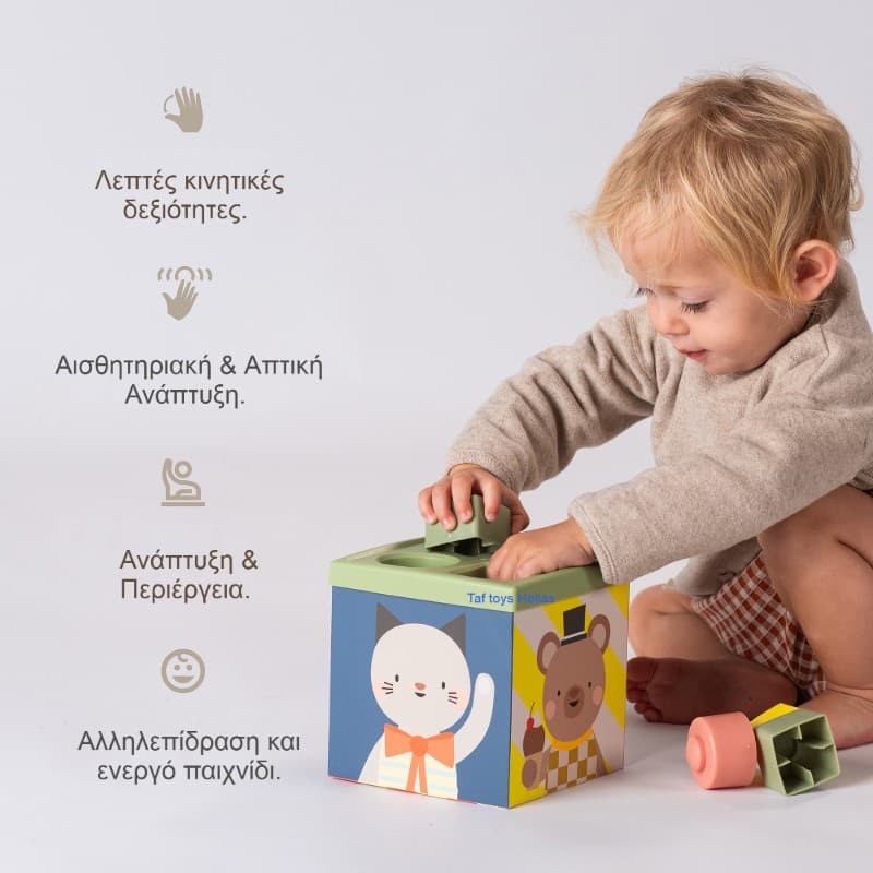 PLAY & DISCOVER CUBE