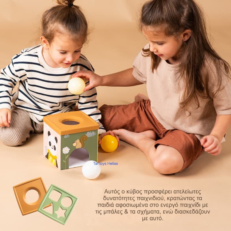PLAY & DISCOVER CUBE