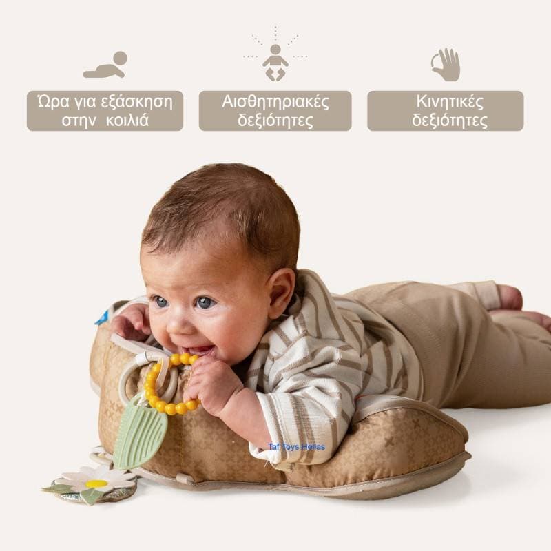 BEAR TUMMY TIME PILLOW