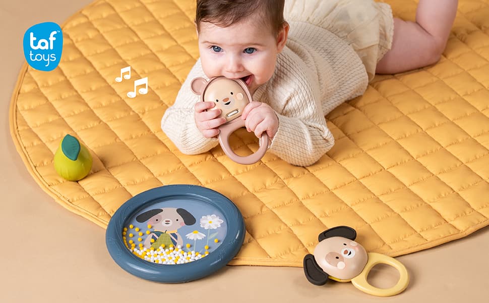 Musical discovery kit