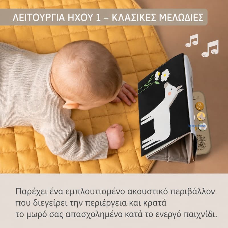 Farm Musical Tummy Time Book