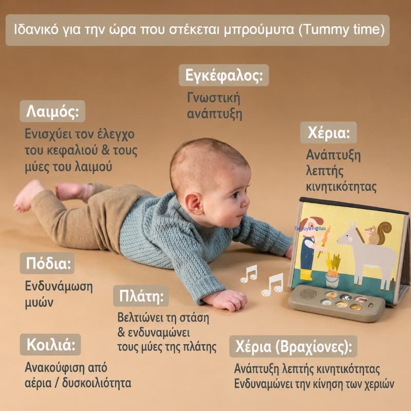 Farm Musical Tummy Time Book