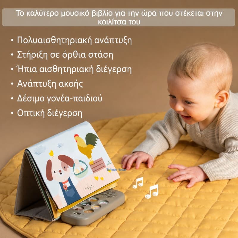 Farm Musical Tummy Time Book