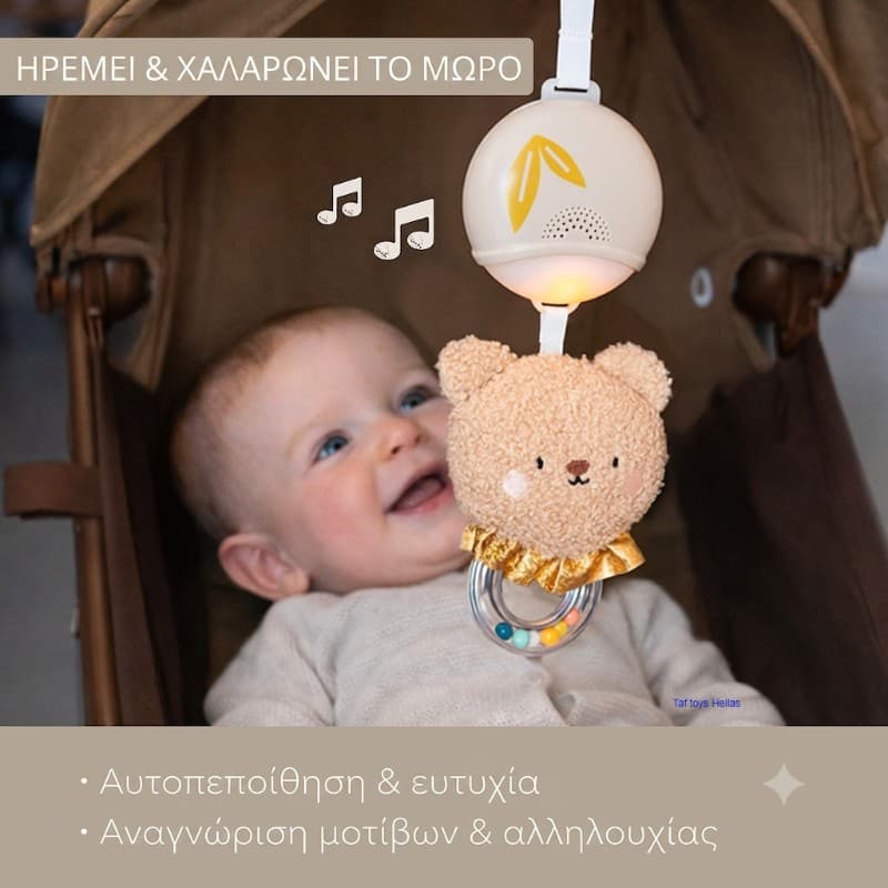 Bear musical toy